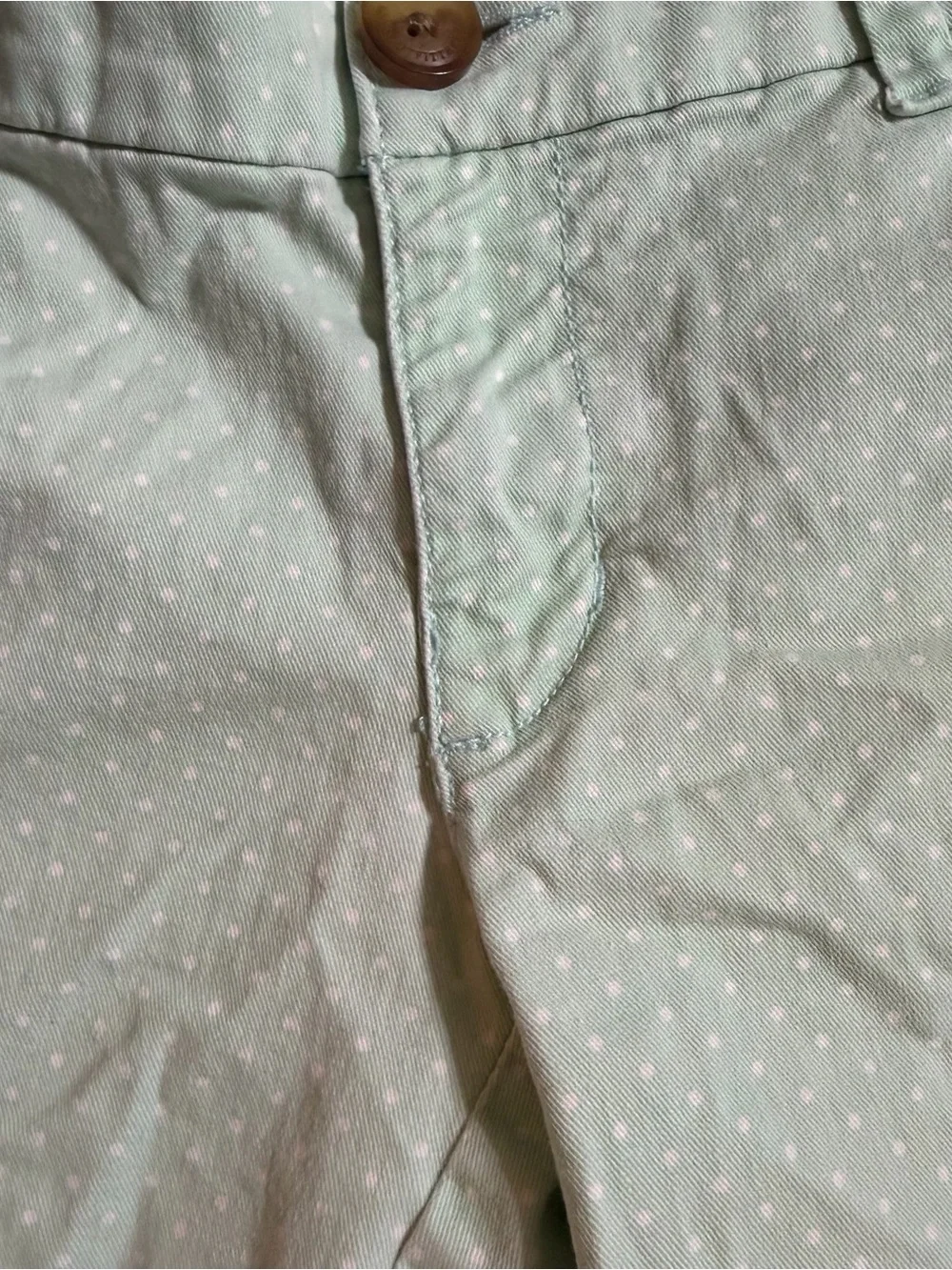 2000s vintage style American Eagle whimsical green polka dot low rise shorts